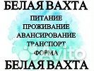 Рабочие на вахту г. Ступино Московская обл