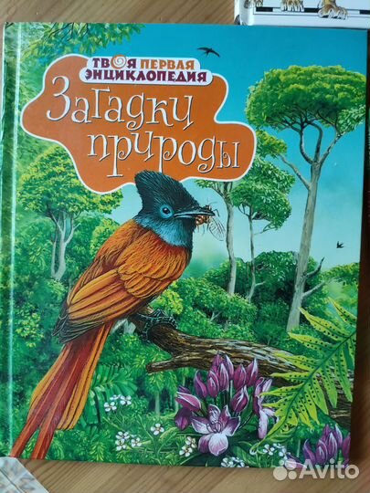 Детские книги о животных