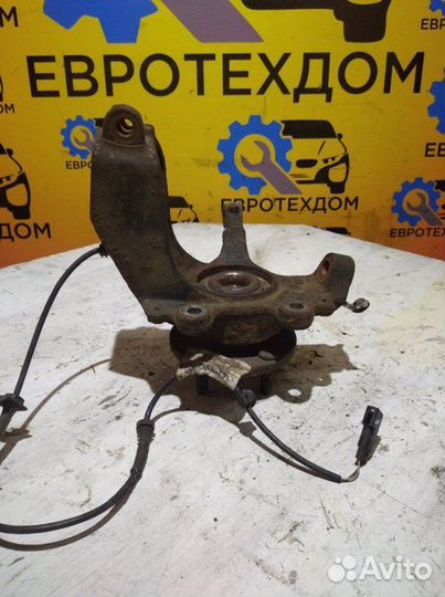 Кулак поворотный передний правый Ford Focus 2 hxda