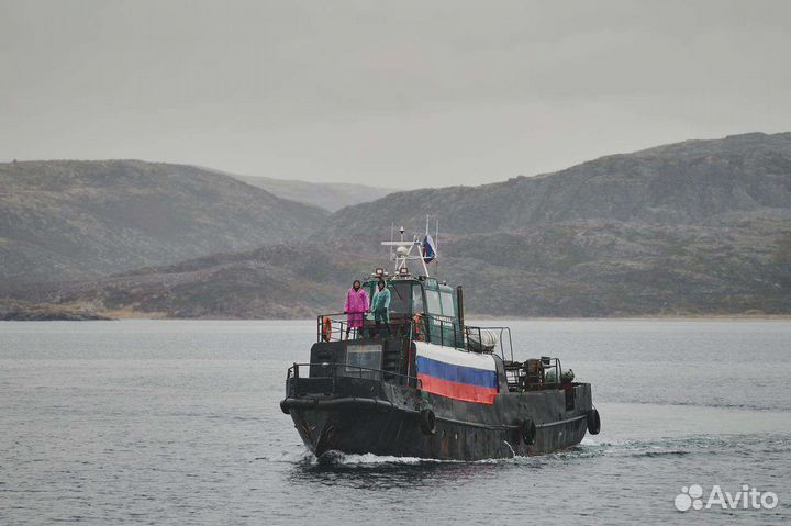 Морские прогулки/рыбалка/Териберка