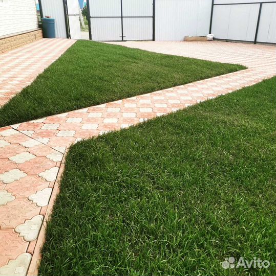 Рулонный газон, посевной газон