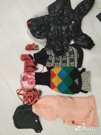 Комбинезон и другие вещи доя маленькой собаки