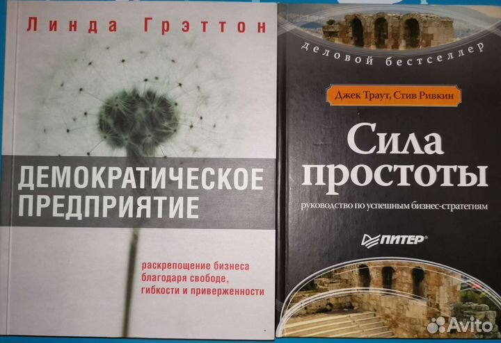 Демократическое предприятие Бизнес стратегии