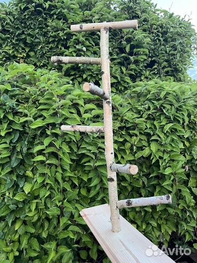 Стенд для попугая ручной работы