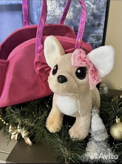 Собачка в сумочке (чичилав )