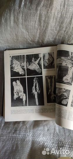 Учебно познавальная литература, учебник