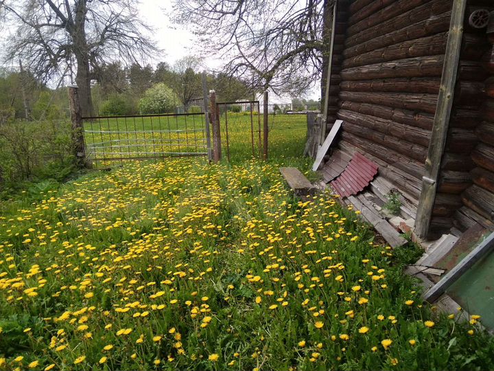 Дом 50 м² на участке 11 сот.