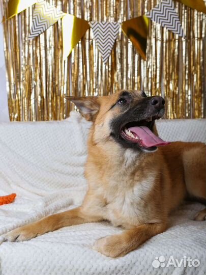 Активная и дружелюбная Инди