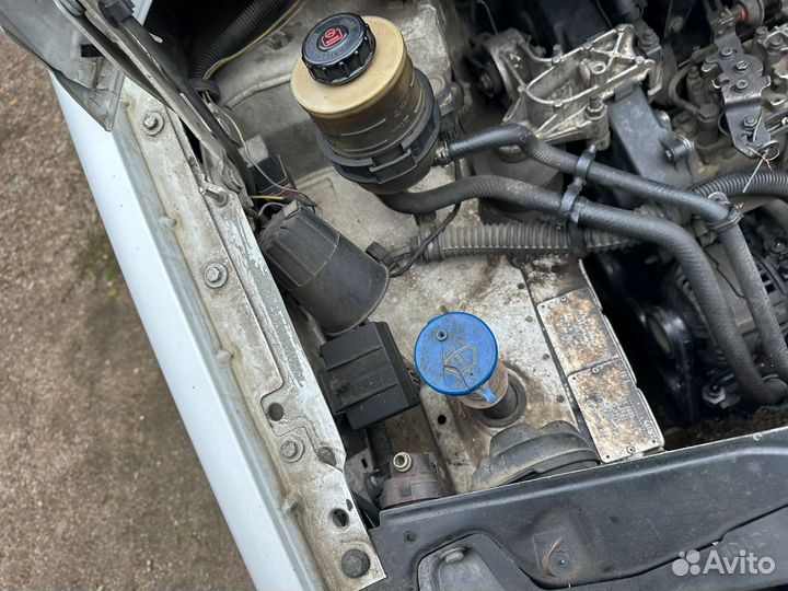 В разборе fiat scudo Citroen jampy 1.9 diesel