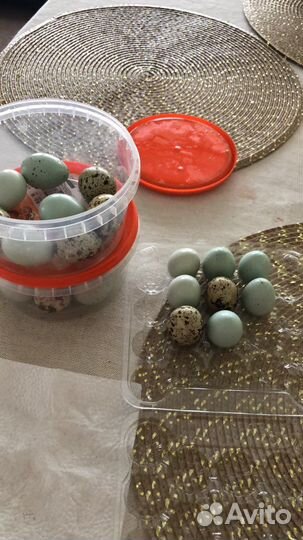 Яйца перепелиные