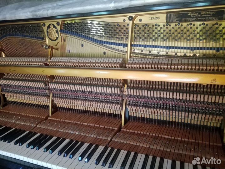 Пманино Блютнер