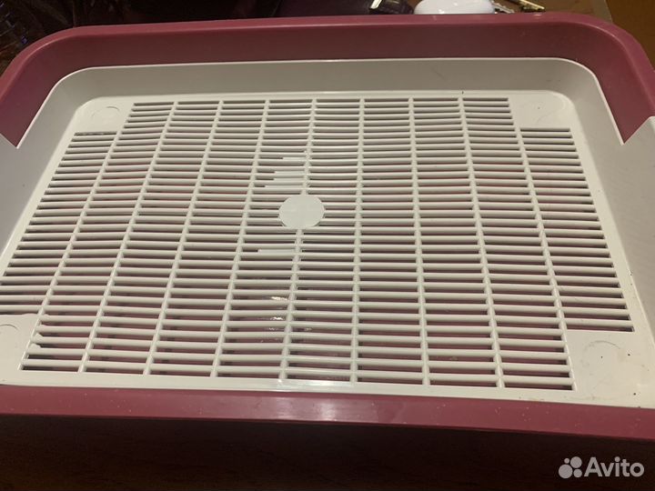 Лоток для котят