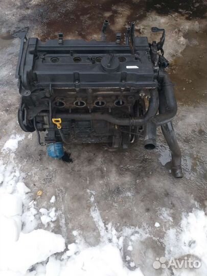 Двигатель G4ED kia cerato 1
