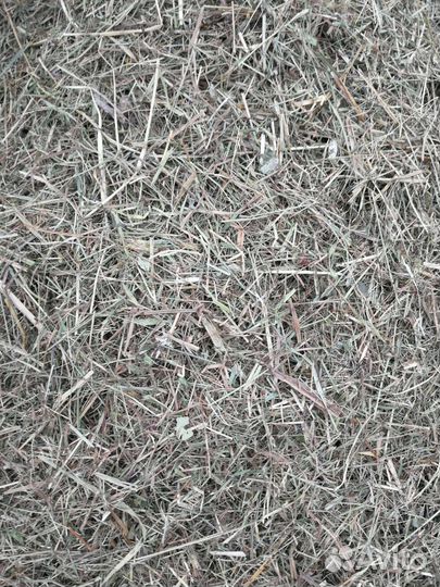 Сено в тюках