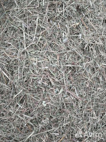 Сено в тюках