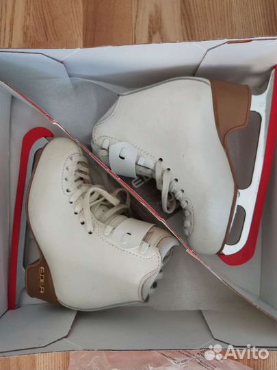 Фигурные коньки edea motivo 195