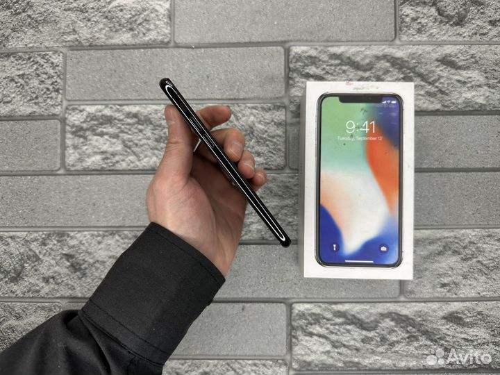 iPhone X, 256 ГБ