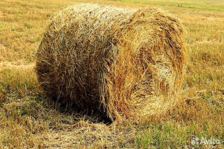 Солома в рулонах