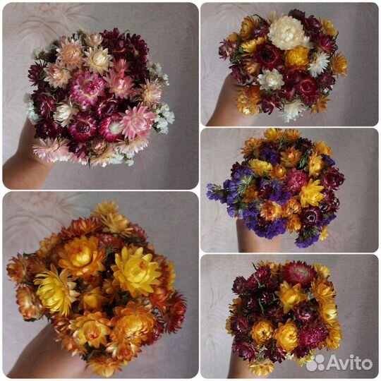 Сухоцветы букеты