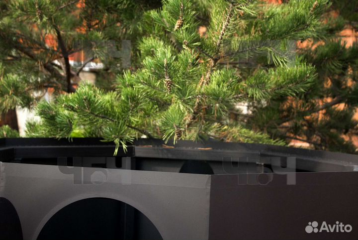 Банный Чан. Купель