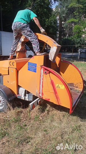 Спил деревьев. Обрезка. Корчевание