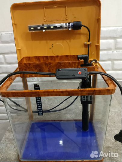 Готовый аквариум