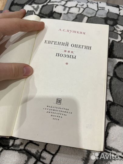 Евгений Онегин. Поэмы