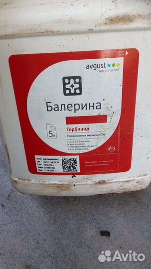 Балерина, Сэ