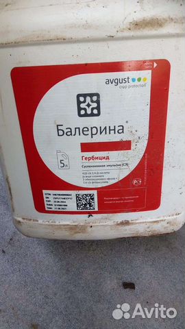 Балерина, Сэ