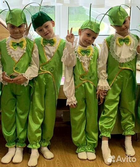 Костюм кузнечика,божья коровка на мальчика