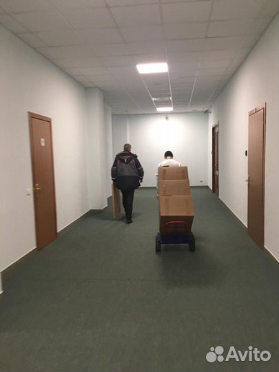 Разнорабочие