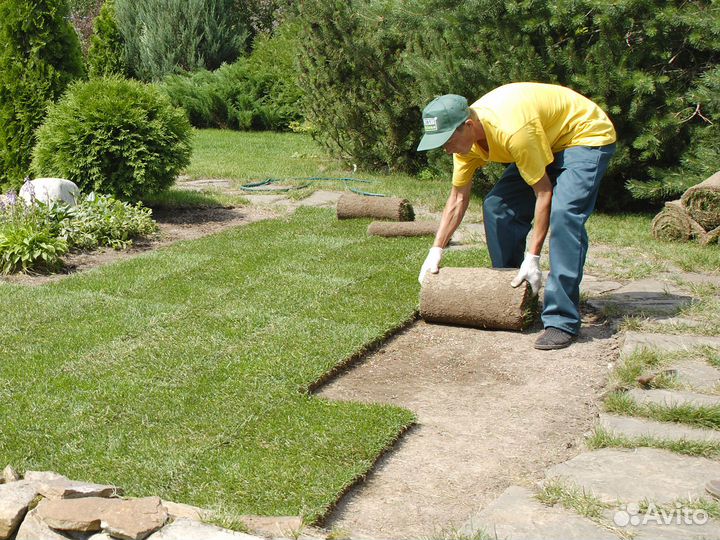 Рулонный газон под ключ