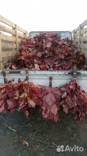 Берёзовые Веники для бани