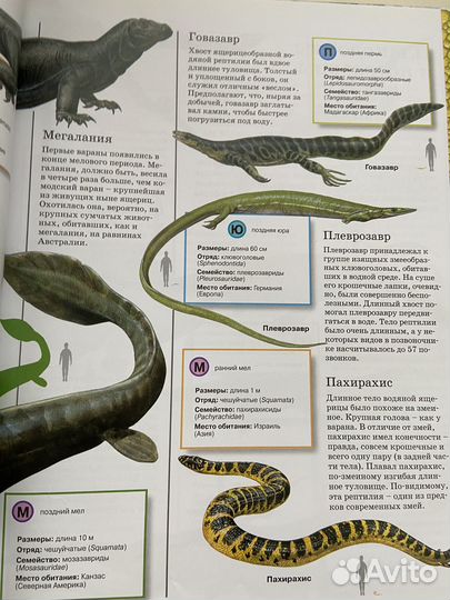 Динозавры- книги, энциклопедии