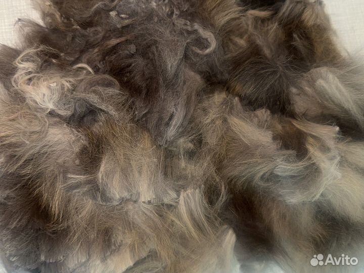 Шерсть животного