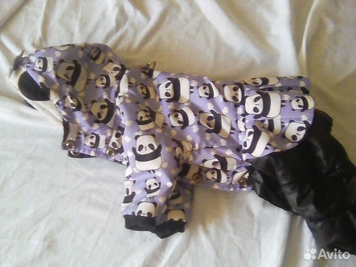Одежда для собак