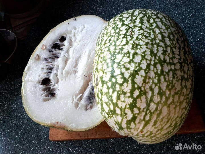 Тыква фацефалия