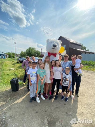 Поздравление от Белого Медведя,живая открытка