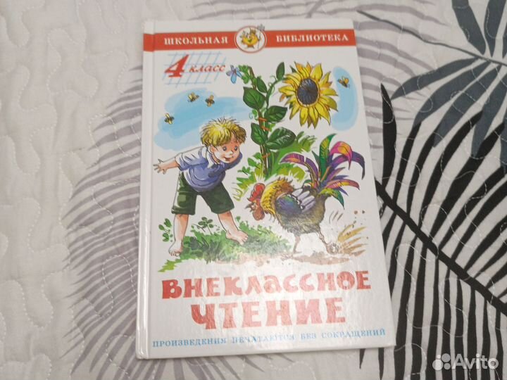 Книга внеклассное чтение