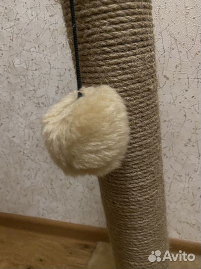 Когтеточка