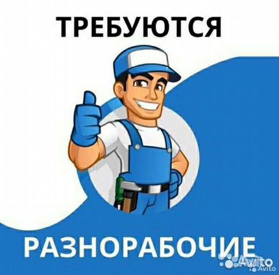 Требуются разнорабочие