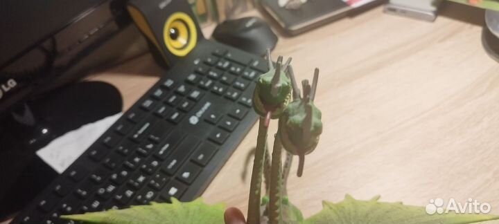 Игрушка как приручить дракона