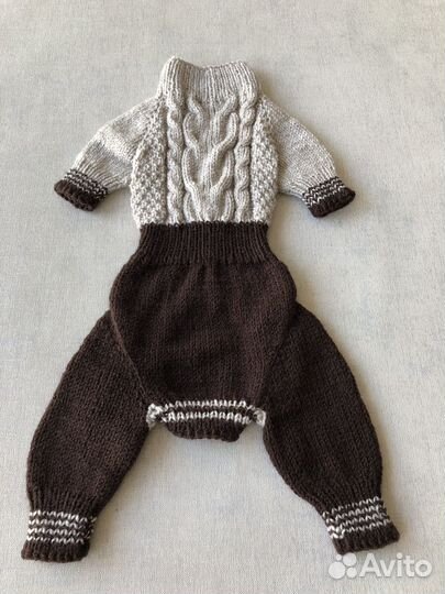 Одежда для домашних животных