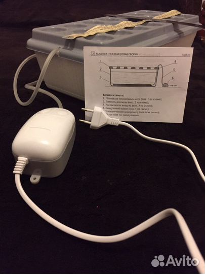 Луковая грядка на подоконнике