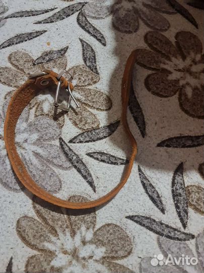 Ошейник для собак