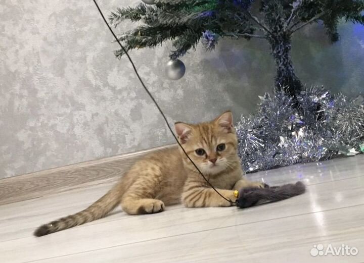 Елка искусственная заснеженная