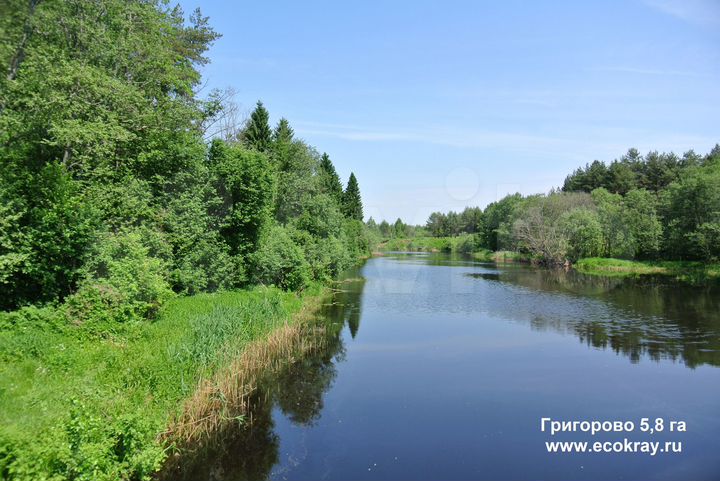 Участок 5,8 га (СНТ, ДНП)