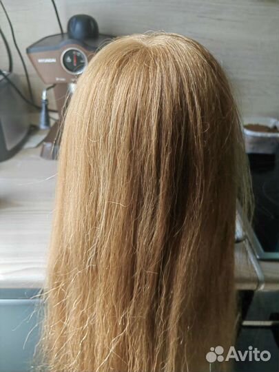 Голова учебная