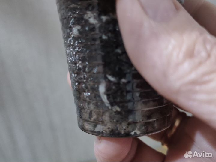 Пиперомия вариегатная