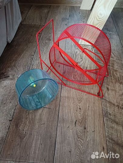 Товары для животных грызунов